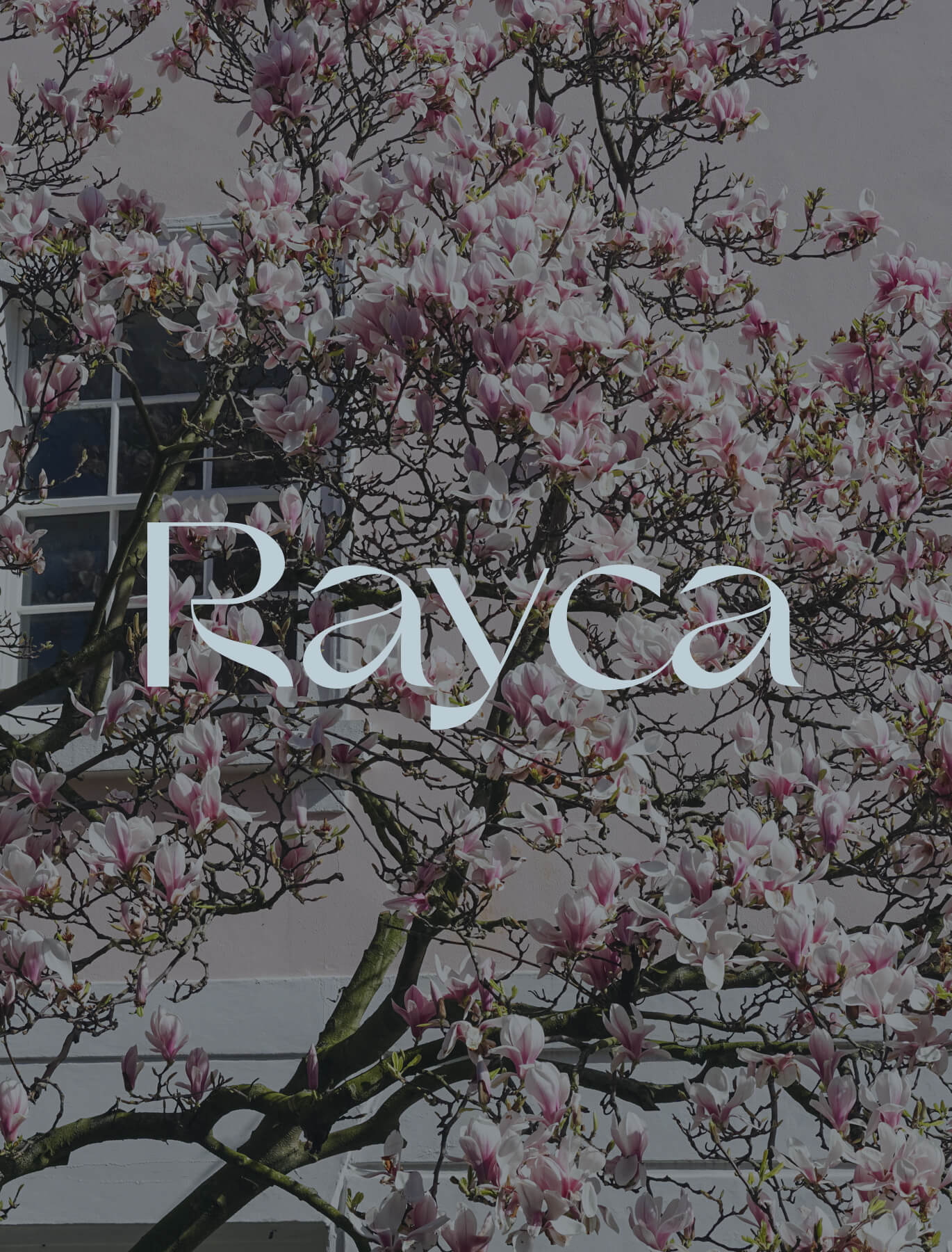Rayca Architectural Services