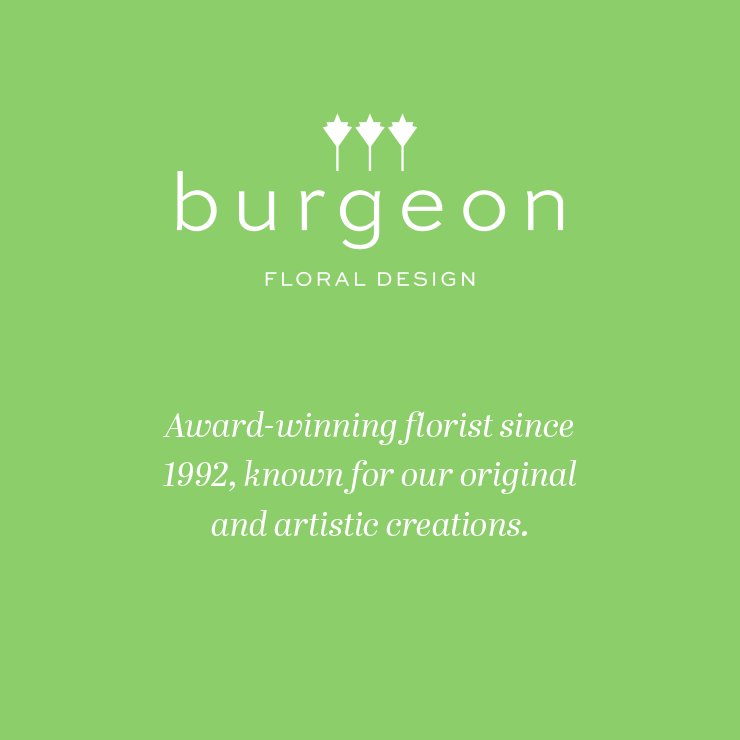 Burgeon